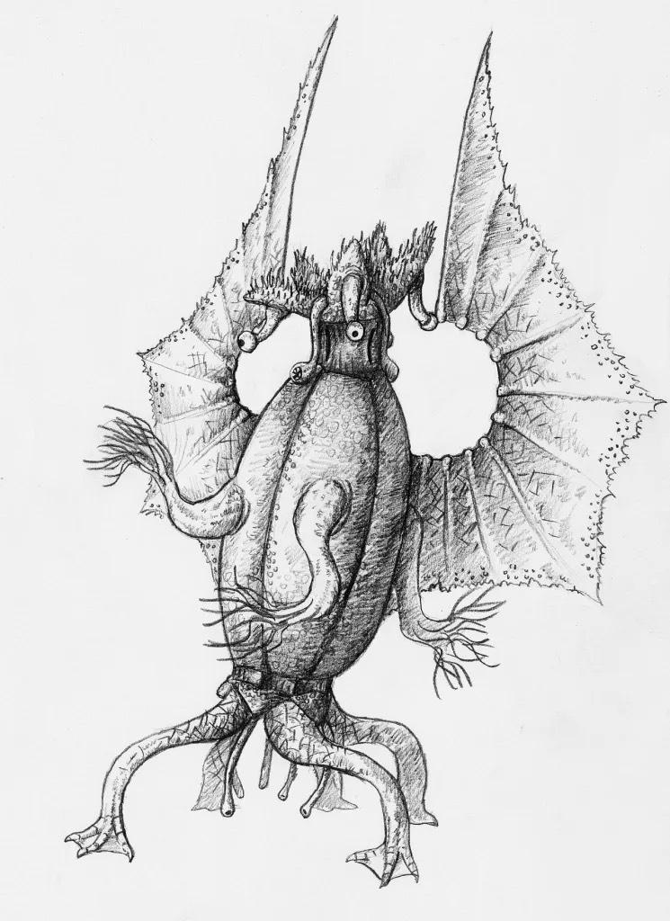 image3